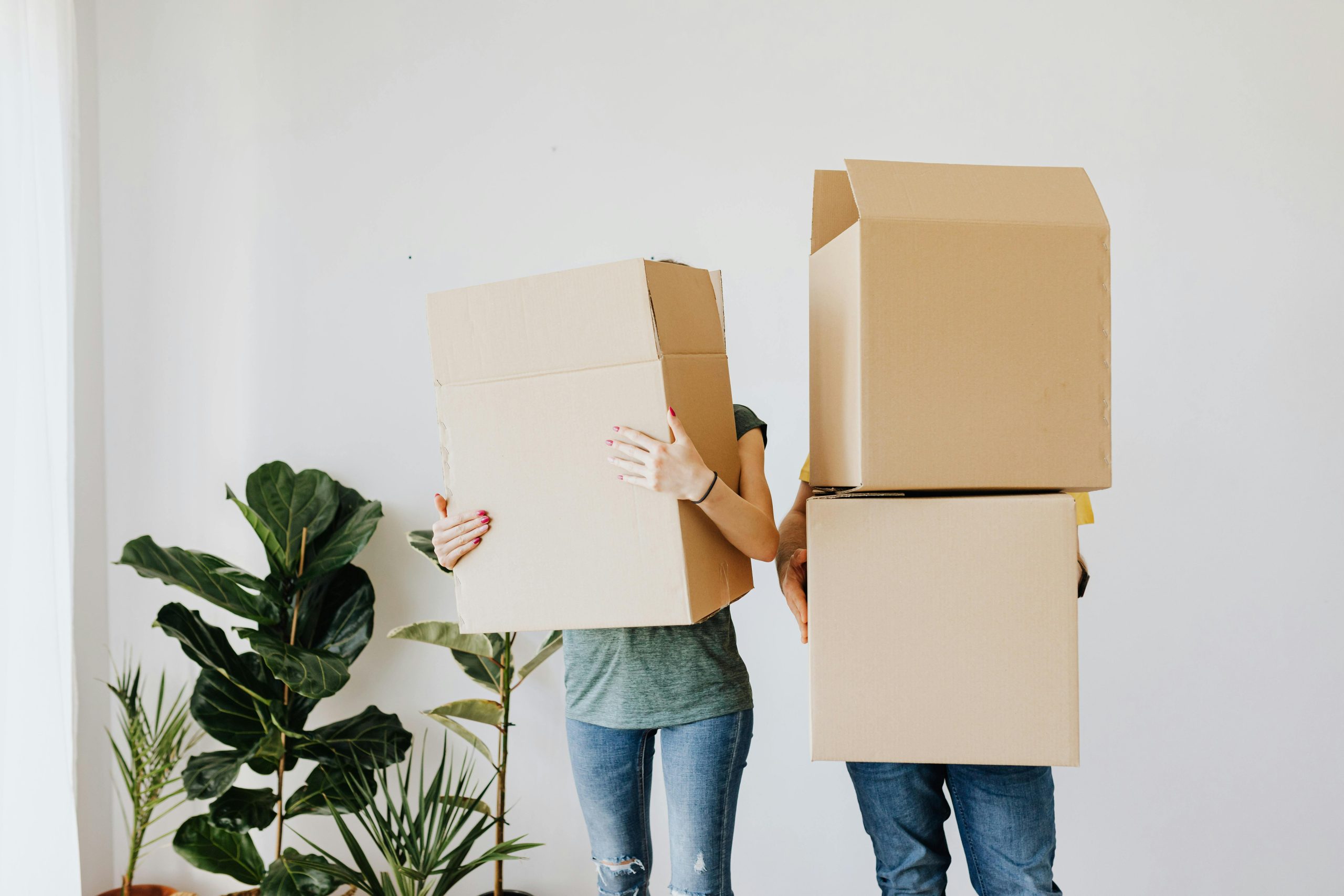 packing and unpacking services